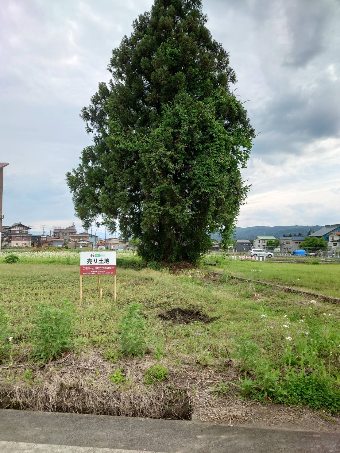 十日町市北新田